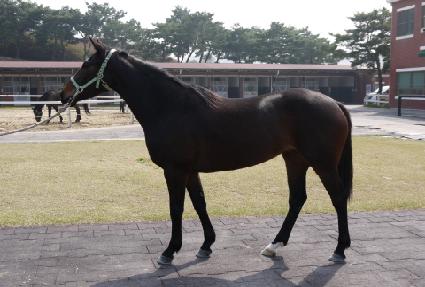 �������� ����