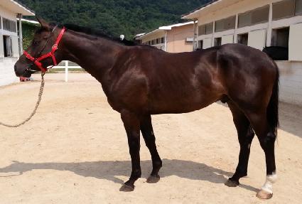 �׷���Ʈ�� ����