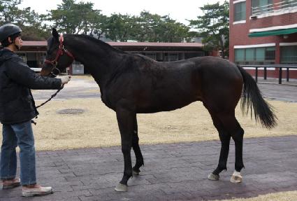 ���� ����