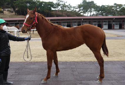 ���� ����