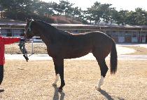 ��ũ�� (TANK ONE) ����