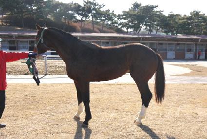 ��ũ�� ����