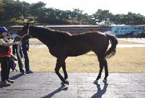 �ͺ���Ʈ (TURBO JET) ����