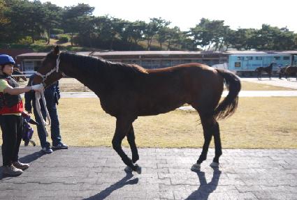 �ͺ���Ʈ ����