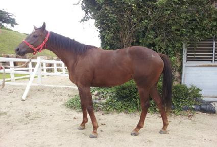 ����Ÿ�� ����