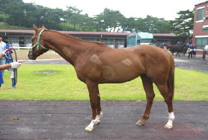 õ�Ⱝȣ ����