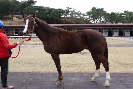 �ݾ��Ǵн� ����