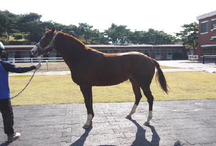 �������� ����