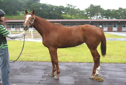 ���»�� ����