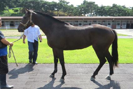 ���ζ��� ����