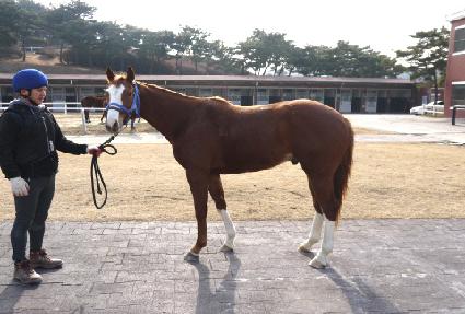 �ݰ�ȣ�� ����