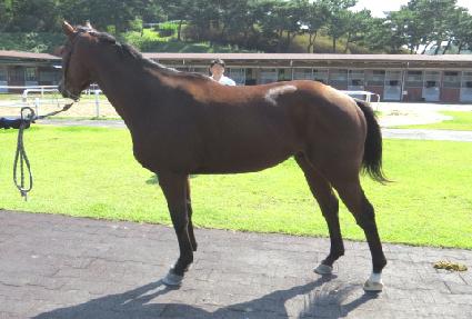 �̶�ŬĹ ����