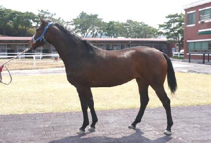 ��Ʈ��ũ ����