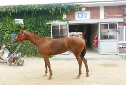 ������긶�� ����