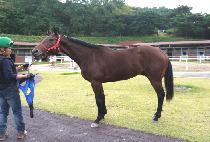 �����̸�Ʈ (ENJOY MENT) ����