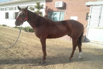 �߾ӿ��� ����