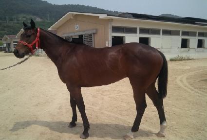 ���ϰ��� ����