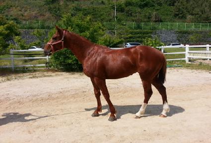 ���̽��� ����