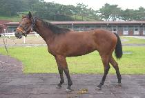 û��帲 (CHEONGGYE DREAM) ����