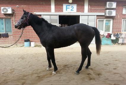 �񺸸��� ����