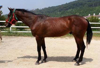 �������̵� ����