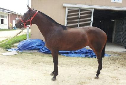 ��Ʈ���ǵ� ����