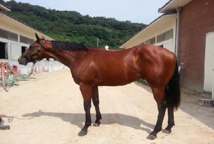 ����������� ����