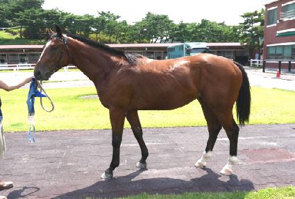 ������ȥ ����