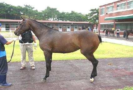 ��Ʈ���ʰ� ����