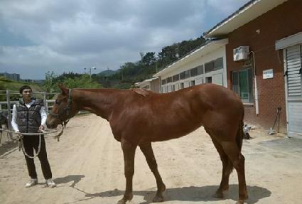 �ູõ�� ����