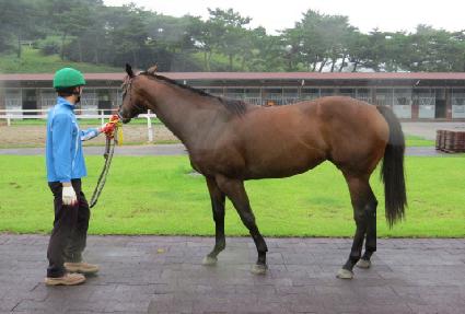 �����÷�Ű ����