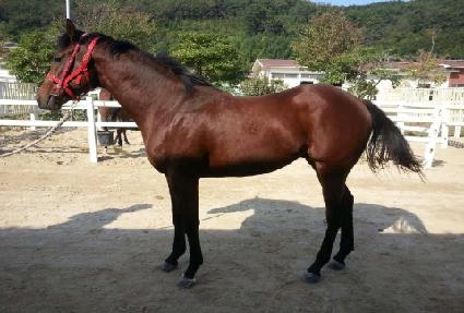 �߽����� ����