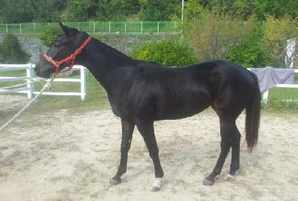 ���� ����