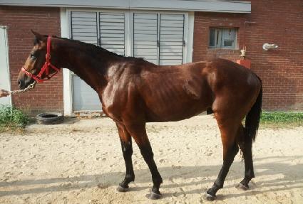 �ӽ�Ʈ�� ����