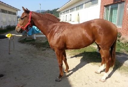 �ӽ�Ʈ�� ����