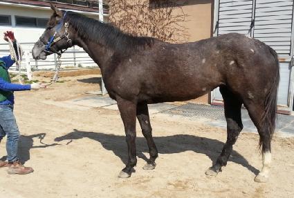 ������� ����