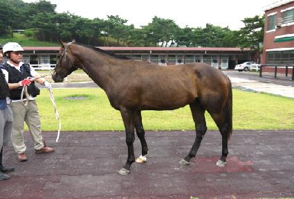 ������� ����