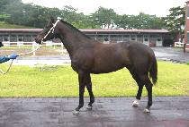 ��¿������� (RAON ESPRIT) ����