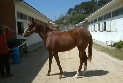 ��ġ ����