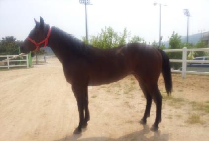 ���̳�ĸƾ ����