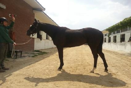 �Ƹ��� ����