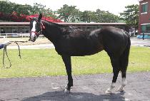 �������� (THUNDER STEP) ����