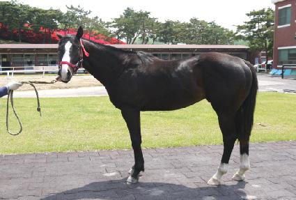 �������� ����