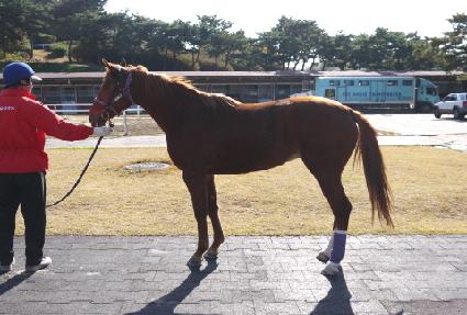 ���Ǻ� ����