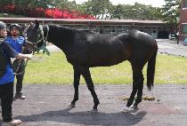 �ص����� (HAEDONG YEOKSA) ����