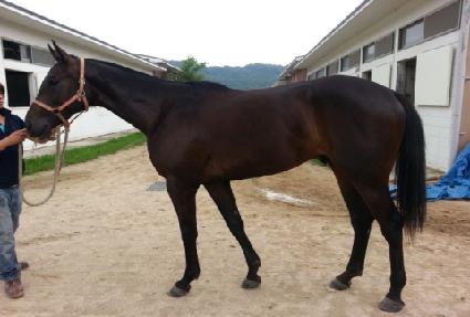 õ�� ����