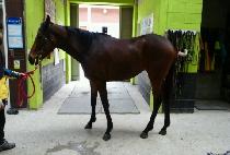 Ŭ������ (CLEAN GONGJU) ����