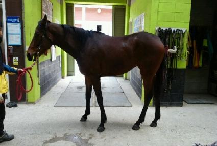 Ŭ������ ����