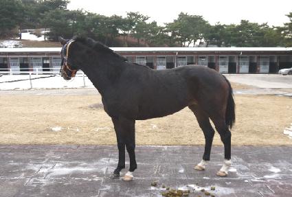 �̶�Ŭ�� ����