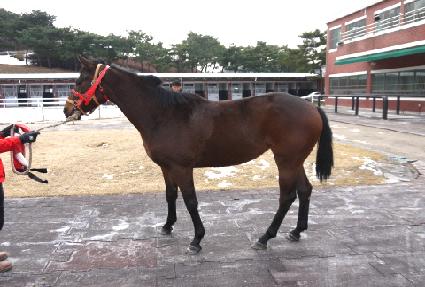 ����Ĺ ����